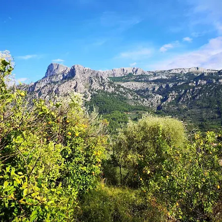 Ideal * Soller