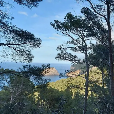 Holiday home Ideal Soller